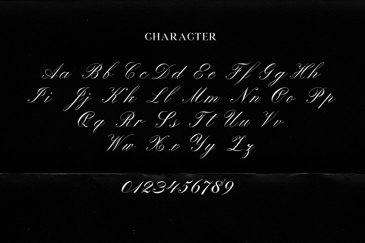 Winterskol Script Font preview 4