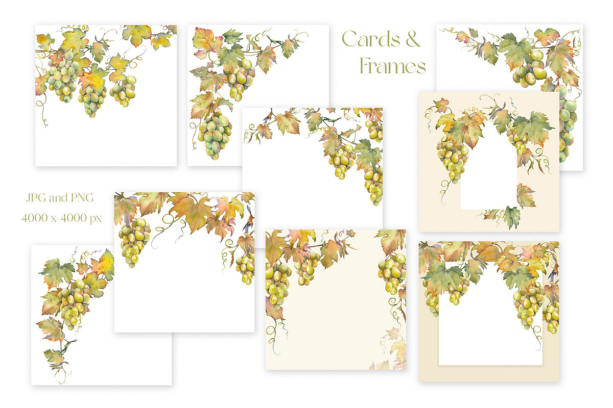 Watercolor Grapes Clipart Set, a Food Illustration by Jeanna Draw (Photo 9 of 12)
