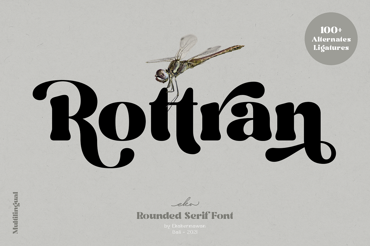 Rottran - Rounded Display Serif Font, a Serif Font by Ekahermawan (Photo 1 of 12)