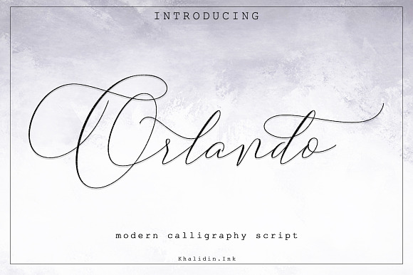 Orlando Script Font preview 8