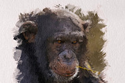 Acrylic oil Painting PS Action, an Action Add-On by INTENTFX (Thumbnail 17 of 20)