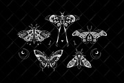 Halloween moths, a Decorative Illustration by OlgaSoi007 (Thumbnail 2 of 7)