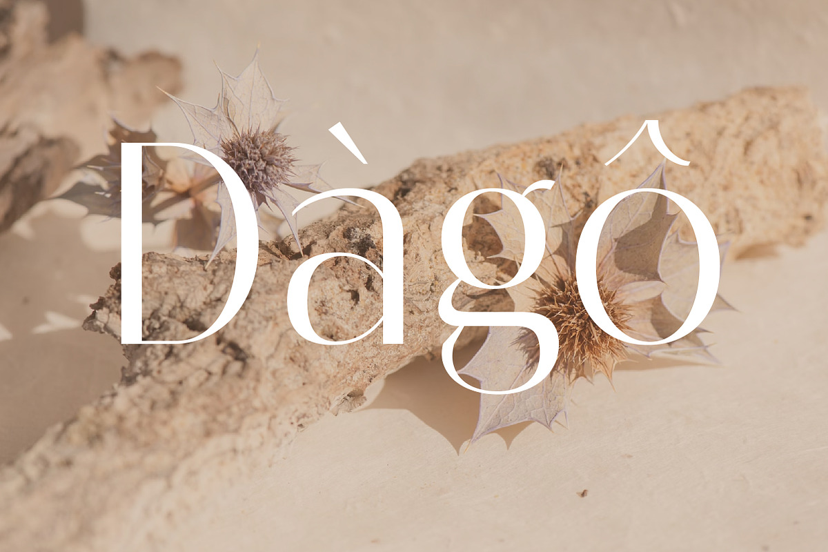 Melloida High Contrast Sans Family, a Sans Serif Font by Lettertype Studio (Photo 7 of 15)
