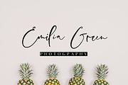 Pretty Script Font Bundle, a Script Font by theinkaffair (Thumbnail 3 of 14)