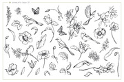 Birds in the Spring Garden, an Object Graphic by Molly art (Thumbnail 2 of 11)