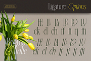 Miojhe, a Serif Font by saemoon creative (Thumbnail 13 of 15)