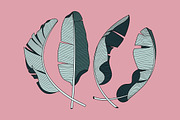 Banana leaves vector, a Decorative Illustration by dv_illustration (Thumbnail 2 of 5)