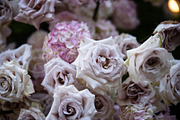 A Garden of Roses | Wedding, Events, a Nature Photo by Farewell (Thumbnail 23 of 41)