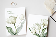 Tulip Whisper - Watercolor Clipart, an Illustration by ThaismotaCreativeCo (Thumbnail 8 of 10)