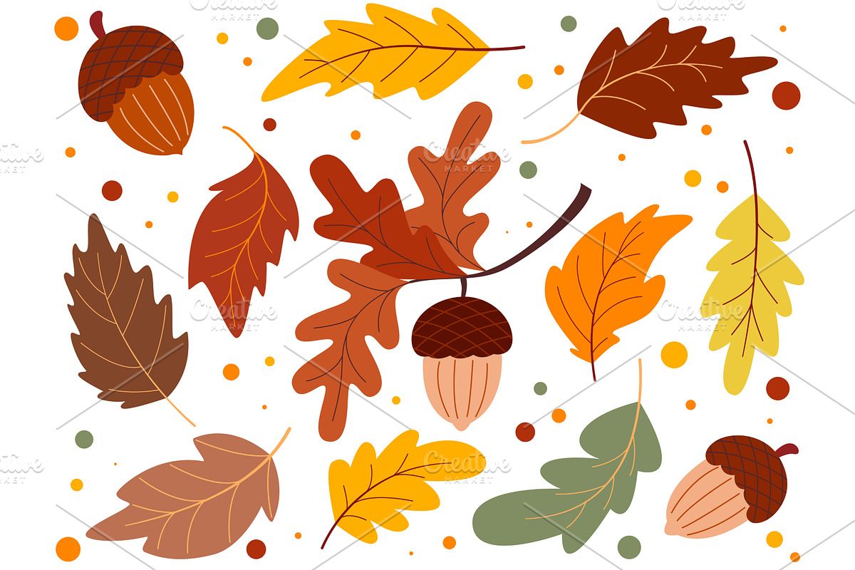 Hand drawn set of acorns and leaves, a Food Illustration by Tati_Kli