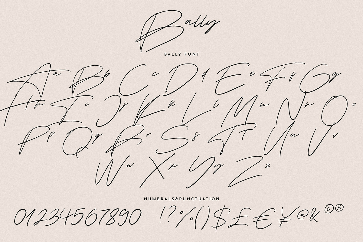 Bally | Handwritten Script Font, a Script Font by Studio&Story (Photo 9 of 9)