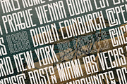 SLTF Snowpack - Ultra Condensed Font, a Sans Serif Font by SilverStag Type Foundry (Thumbnail 17 of 30)