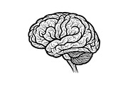 Brain Tree Knowledge Design Bundle, an Illustration by Gaye Art (Thumbnail 19 of 31)
