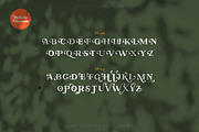 Absolute Borsalino - Serif Font, a Serif Font by Luxima (Thumbnail 11 of 15)
