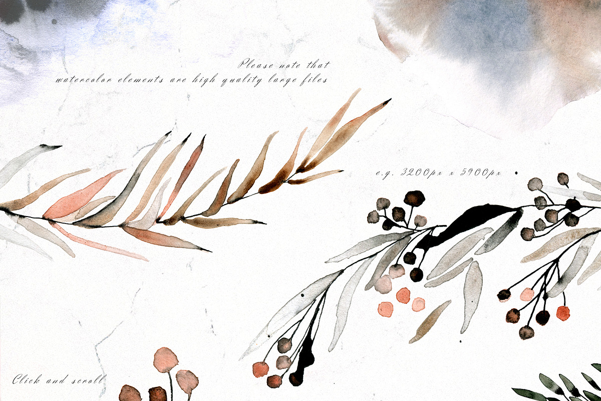 Polar Stories Watercolor & Ink Set, an Animal Illustration by Bibela (Photo 8 of 10)