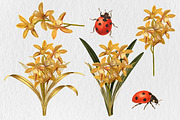 Orchid wreath & Bouquet, an Object Graphic by Floraphoria (Thumbnail 5 of 9)