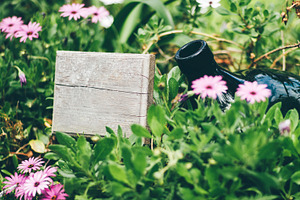 Garden mockup with wood sign, a Business Photo by SkyNext