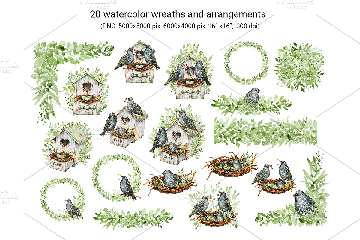 Starling family, spring bird, plants, an Animal Illustration by Artmanata (Photo 6 of 16)