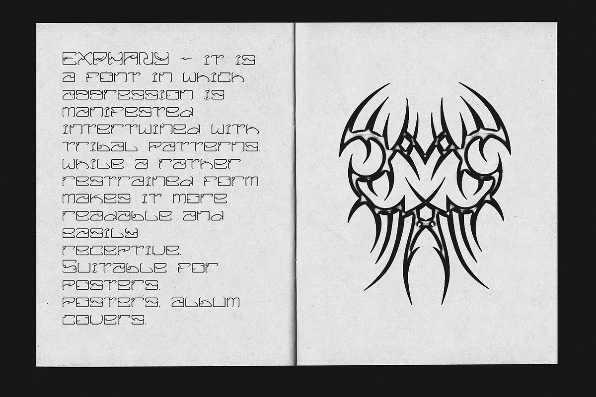EXPHANY Font, a Font by typecrips (Photo 3 of 3)