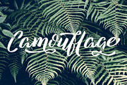 Azkasia Script, a Script Font by SemutHitam Creative (Thumbnail 2 of 12)