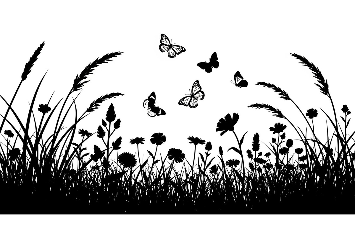 Floral Grass Border Silhouette Bundl, an Illustration by Amazin_art (Photo 12 of 51)