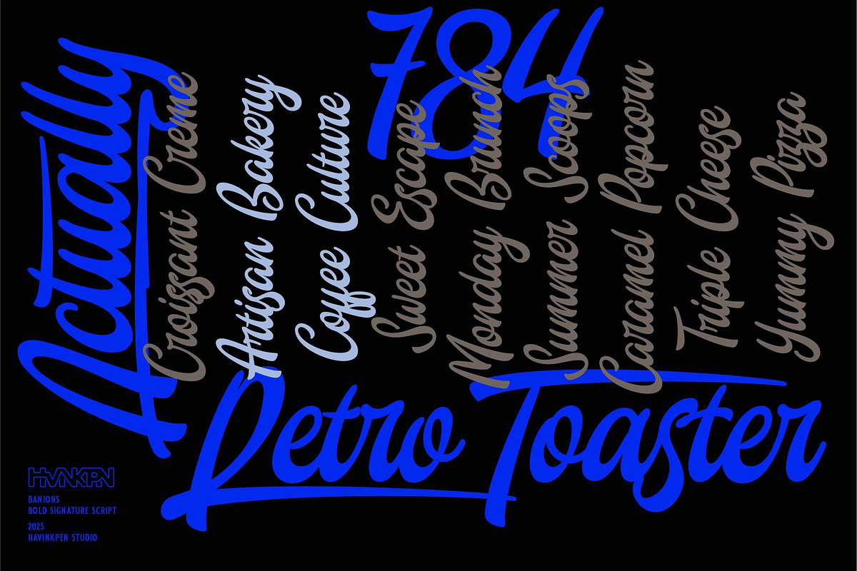 Banions | Bold Signature Script, a Script Font by Havinkpen (Photo 3 of 10)