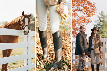 3 Photo Pack Equestrian Photos