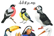 Beautifull Fly-bird set, a Texture Illustration by KatBranchArt (Thumbnail 2 of 4)