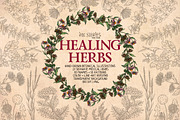 Healing Herbs * Botanical Bundle, a Healthcare Illustration by Ink Stories (Thumbnail 1 of 13)
