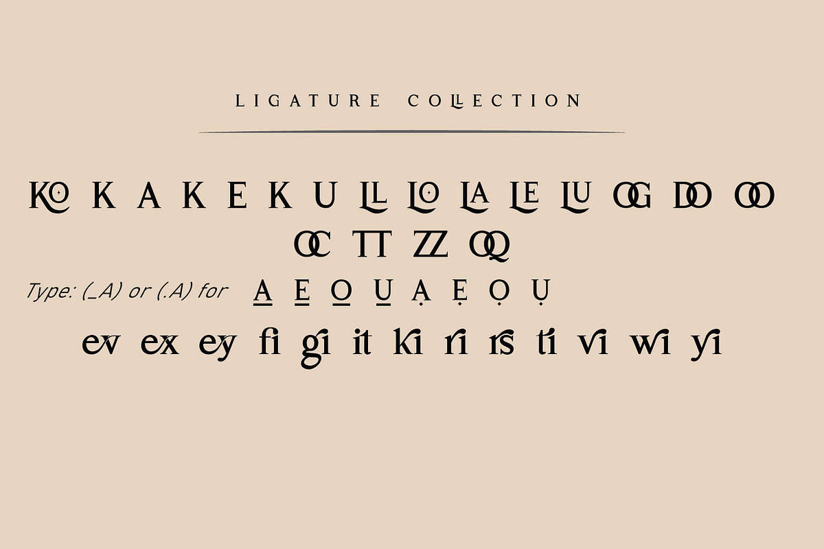 Sofimaria | Elegant Modern Serif, a Serif Font by Qaratype (Photo 18 of 19)
