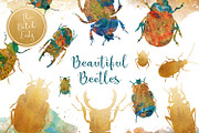 Scarabs & Beetles Clipart Set, an Animal Illustration by The Dutch Lady Designs (Thumbnail 1 of 5)