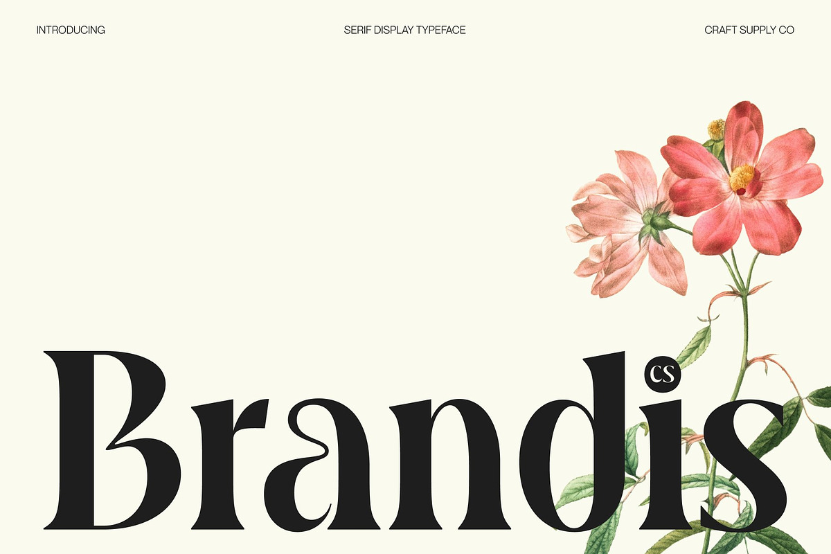 CS Brandis – Modern Serif Font, a Serif Font by Craft Supply Co. (Photo 1 of 8)