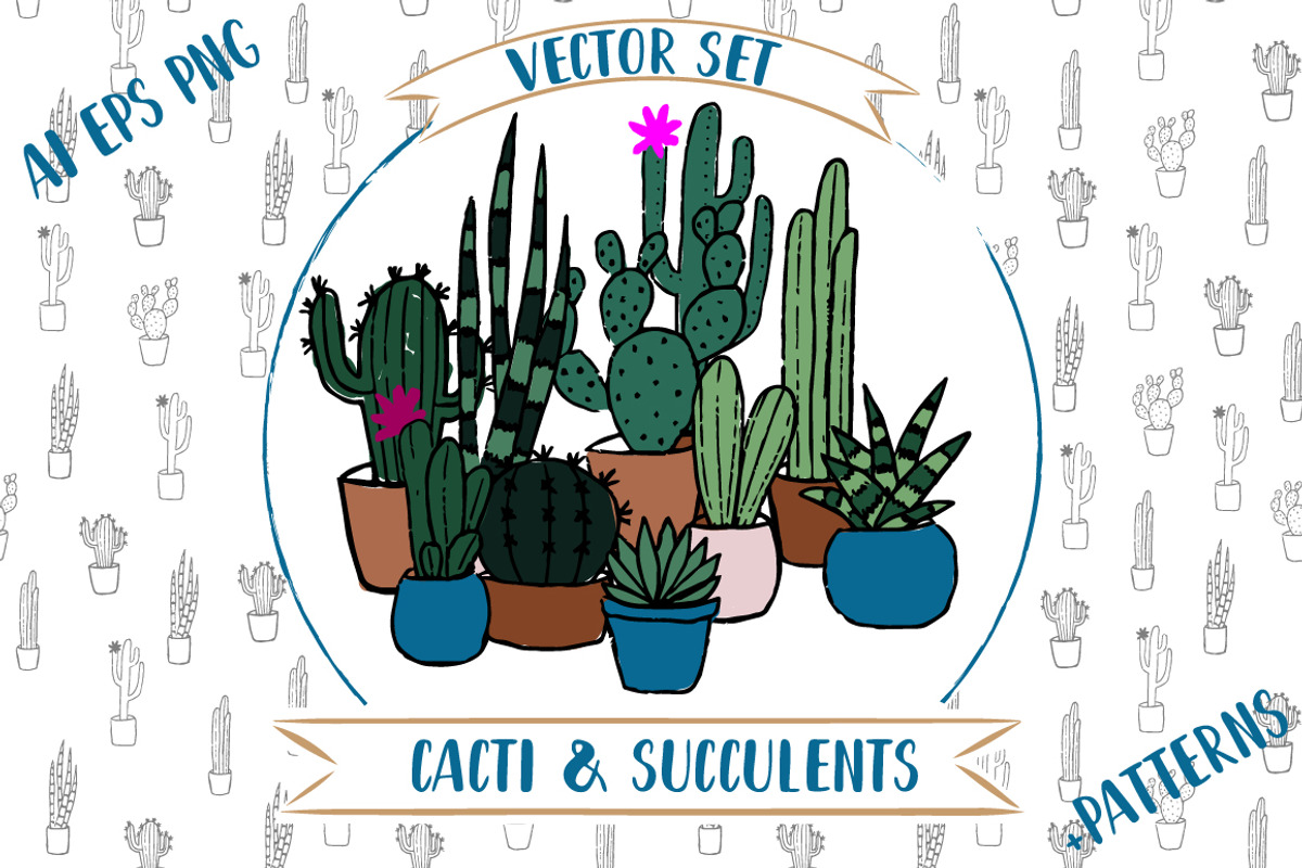 Vector Cacti and Succulents, a Decorative Illustration by 5August Art (Photo 1 of 7)