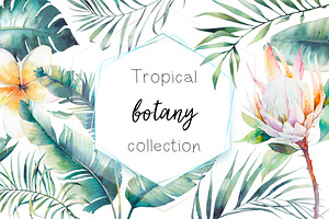 Tropical botany collection