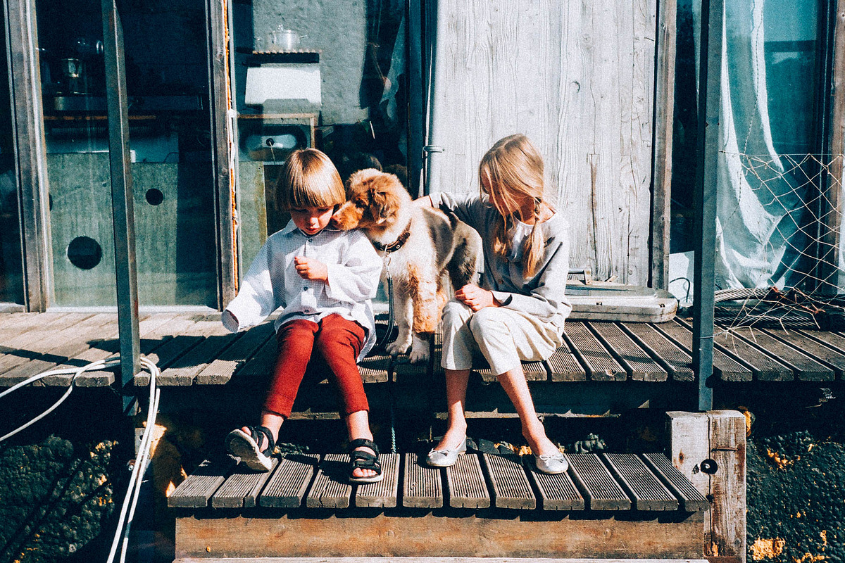 Agfa Vista 800 Lightroom Presets, an Action Add-On by Daily Studio (Photo 8 of 10)