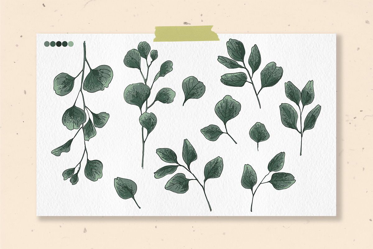 Protea flowers and eucalyptus sketch, an Illustration by irina.vaneeva (Photo 3 of 12)