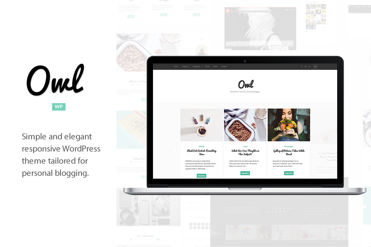 Owl - WordPress Theme for Blogging, a WordPress Template by gbobbd