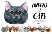 Breeds of cats - watercolor. Part 1, an Animal Illustration by KatBranchArt (Thumbnail 1 of 5)