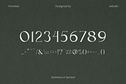 Fernstad - Elegant Serif Font, a Serif Font by Eztudio (Thumbnail 14 of 16)