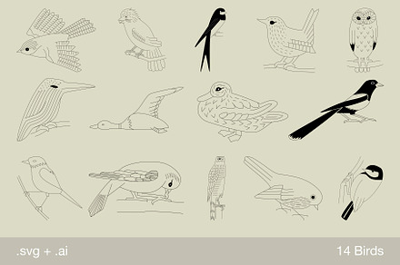 Bird Vectors
