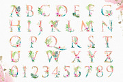 Tropical Watercolor Alphabet Letter, a Decorative Illustration by Cacacolors Clipart (Thumbnail 2 of 6)