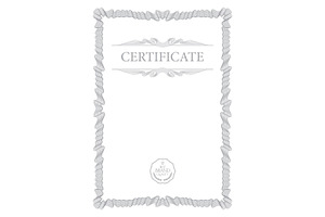 Certificate310