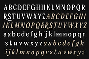 Serelia Serif Family | Intro 60% OFF, a Serif Font by Lettertype Studio (Thumbnail 15 of 17)
