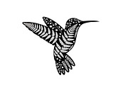 Decorative Floral Hummingbird Bundle, an Illustration by jahid234 (Thumbnail 18 of 31)