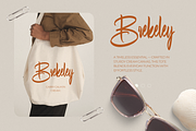 Restian Bagotha, a Script Font by Gatype (Thumbnail 3 of 11)