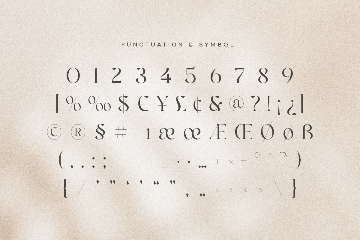 Bailey - Classy Luxury Logo Font, a Serif Font by Sensatype (Photo 12 of 13)