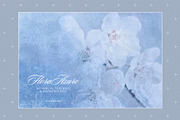 Flora Bundle - Floral Backgrounds, a Background Graphic by alonahaidash (Thumbnail 14 of 24)