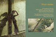 Paper Fabric Texture Overlays White, a Texture Graphic by Yuliya Derbisheva (Thumbnail 11 of 11)