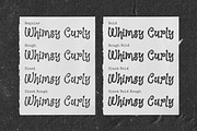 Whimsy Pops – Curly Handwriting Font, a Handwritten Font by Blankids Studio (Thumbnail 10 of 11)