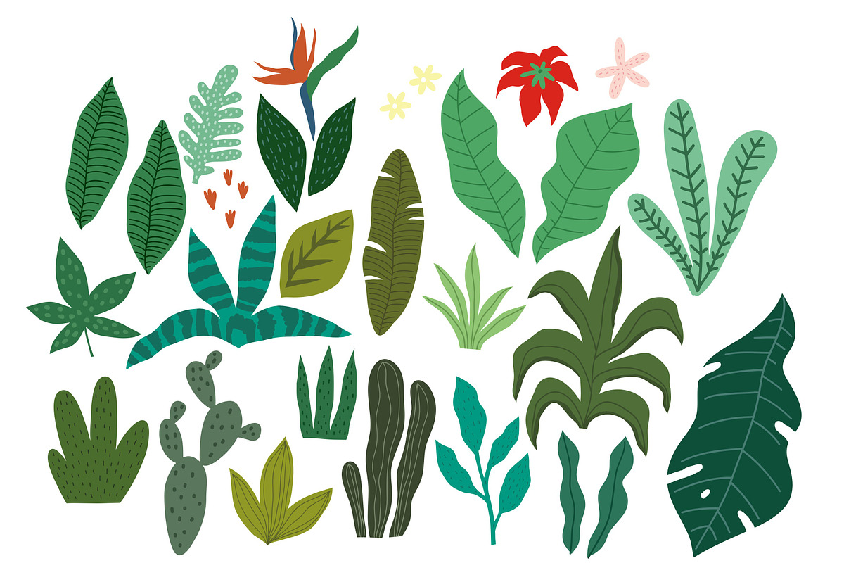 Tropical Leaves, pattern, prints, a Decorative Illustration by Barkova Nadya (Photo 2 of 7)